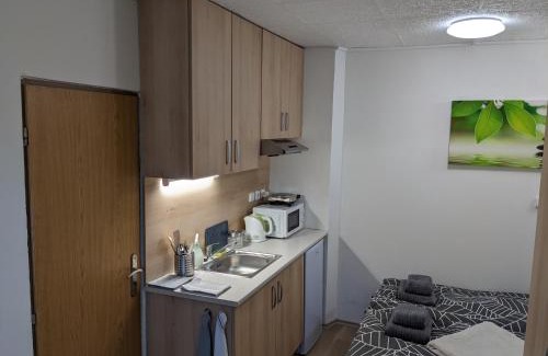Brno-Lisen Apartamento | Útulné studio u Mariánského údolí v Brně - Líšni