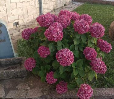 Karamanaiika Casa | Εξοχικό σπίτι στο βουνό