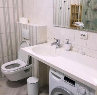 Uzhhorod Apartamento | Апартаменты SILENA