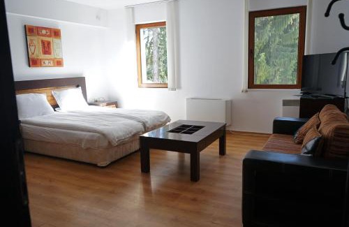 Pamporovo Apartamento | АПАРТАМЕНТ ЗА ГОСТИ ЕВЕЛИН