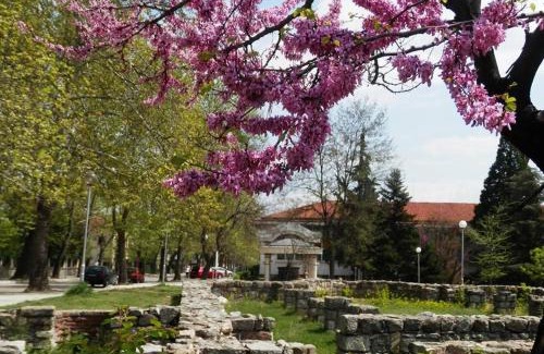 Hisarja Apartamento | Апартамент 13