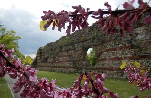 Hisarja Apartamento | Апартамент 13