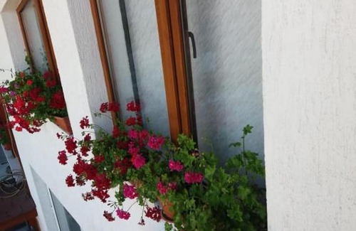 Smolyan Casa | Бащината къща