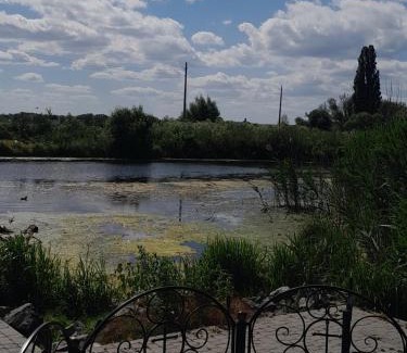 Khmelnytskyi Oblast Cabina | Будиночок біля лісу