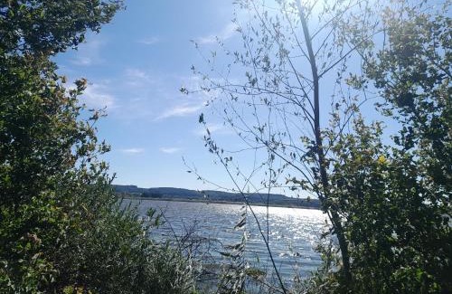 Khmelnytskyi Oblast Cabina | Будиночок біля лісу