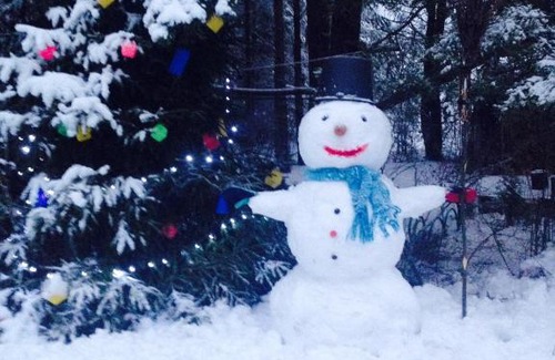 Idritsa Casa | Гнездо аиста