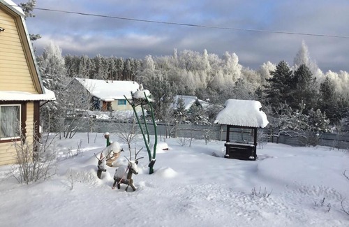 Idritsa Casa | Гнездо аиста