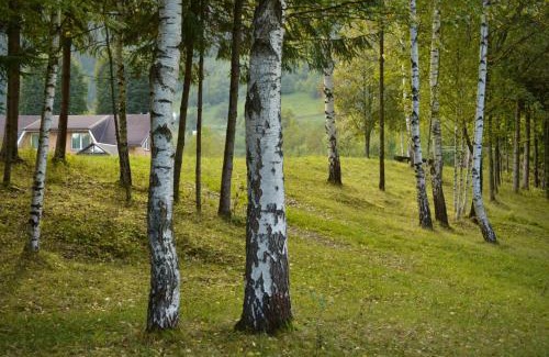 Snidavka Casa | Гражда Лофт для двох в Карпатах