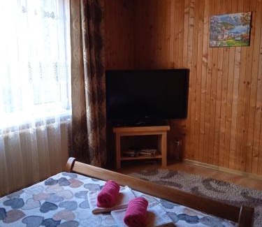 Yaremche Apartamento | Карпатські ночі Чан на території