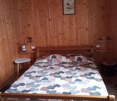 Yaremche Apartamento | Карпатські ночі Чан на території