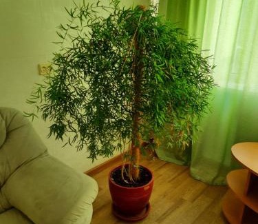 Degtyari Apartamento | Квартира возле парка Б. Хмельницкого (центр) из первых рук