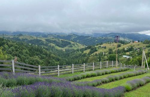 Snidavka Apartamento | Котедж Тиша