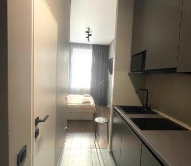 Dobrovelychkivka Apartamento | Котлярська 2