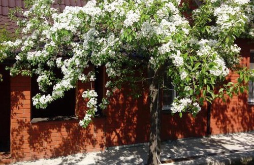 Nizhny Novgorod Casa | Коттедж