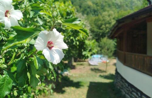 Ribaritsa Hotel | Къща за гости Аврамови