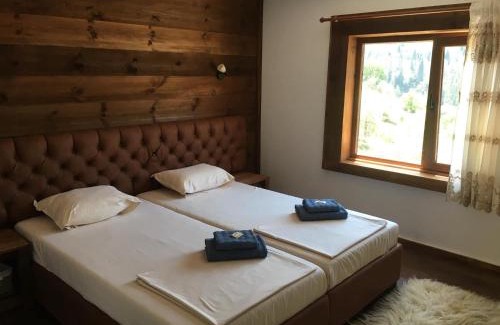 Davidkovo Casa | Къща за гости Виевци