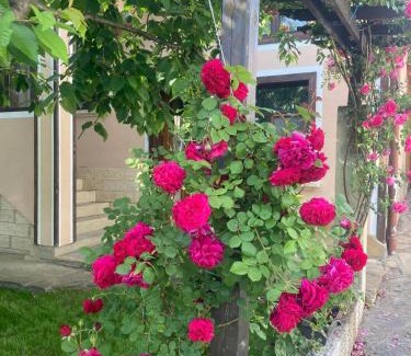 Kyulevcha Casa | Къща за гости Диана