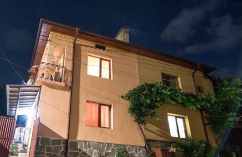 Dobrinishte Casa | Къща за гости ФЪН ШУЙ 88