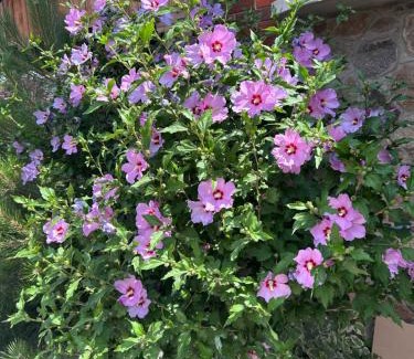 Sumy Apartamento | Люкс - квартири на Іллінській