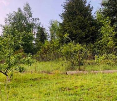 Soymy Casa | Під лісом