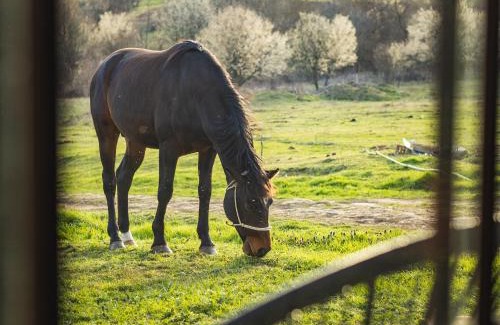 Skobelevo Villa | Стая за гости "Намасте" с панорамна гледка и камина на дърва