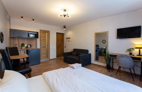 Petrovskoye Apartamento | Сучасна студія в центрі - Харківська набережна 3-8