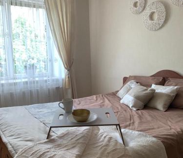 Ternopil Apartamento | Центр (2). Простора квартира. С. Крушельницької