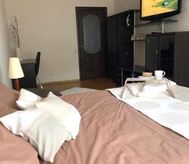 Ternopil Apartamento | Центр (2). Простора квартира. С. Крушельницької