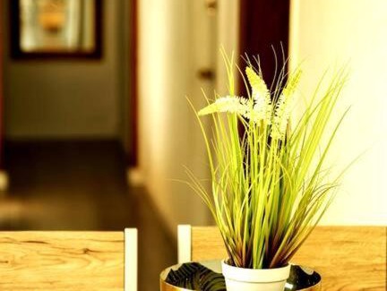 Arad Casa | שמילה אירוח 2