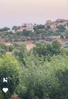 Ajloun Governorate Apartamento | أكواخ وشقق عبين السياحيه