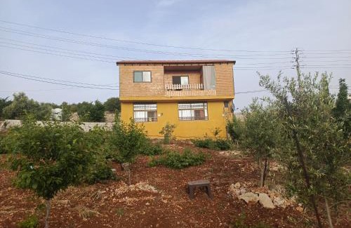 Ajloun Governorate Apartamento | أكواخ وشقق عبين السياحيه