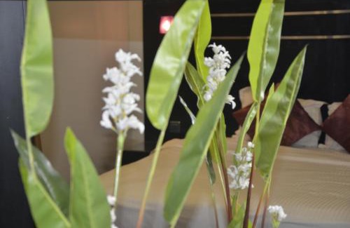 Buraydah Apartamento | فيجن 2 للشقق المخدومة - اقتصادى