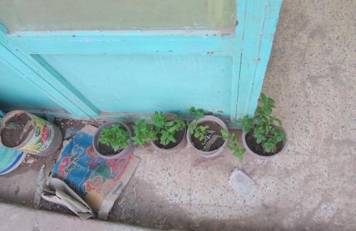 Djelfa Apartamento | ولاية الجلفة