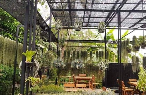 Lam Luk Ka Hotel | ทิลแลนด์เซีย รีสอร์ท