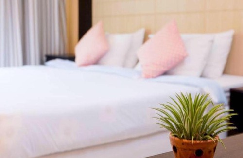 Lam Luk Ka Hotel | ทิลแลนด์เซีย รีสอร์ท