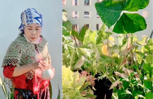 Chiang Khan Casa | บ้านปู่ทอง Grandpa's House