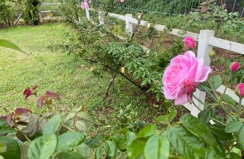 Thong Pha Phum Casa | บ้านพอดีโฮมสเตย์ทองผาภูมิ -กาญจนบุรี
