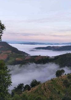 Mae Suai Complejo | บ้านสวนเอลเลน Ellen Farmhouse