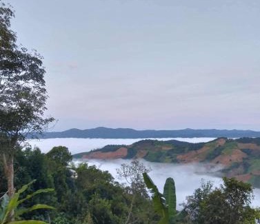 Mae Suai Complejo | บ้านสวนเอลเลน Ellen Farmhouse