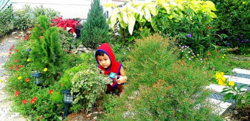 Salaya Casa | บ้านอิงธารา โฮมสเตย์ ศาลายา Baan ing tara homestay salaya