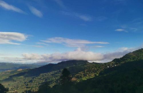 Chiang Rai Province Otro | บ้านไร่นายสิงห์-Banrainaysing