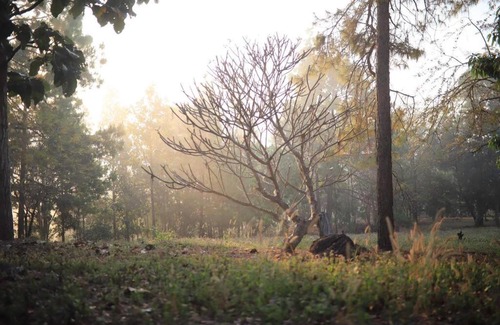 Pang Mu Casa | สวนสน โฮมสเตย์