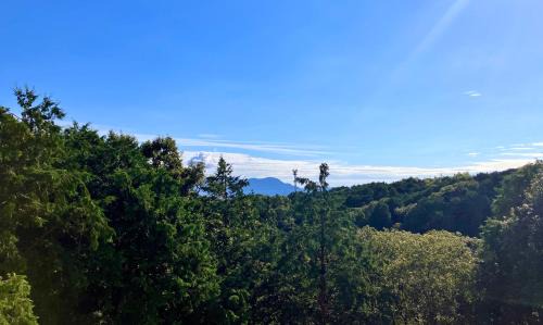 Numazu Hotel | ホテルスクエア沼津