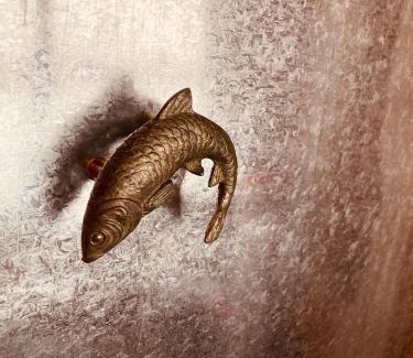 Tamano Apartamento | 一棟貸切の宿 2025夏オープン 旅舎視点定点