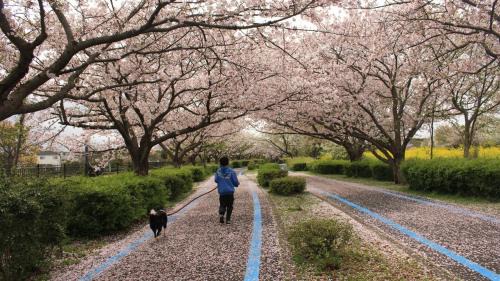 Higashi-ku Casa | 一棟貸民泊西戸崎駅前