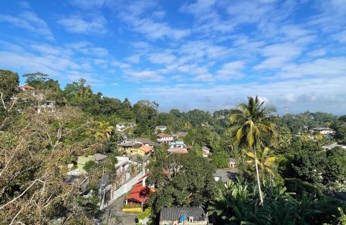 Anniwatta Hotel | 中国蒲公英民宿山景别墅与中餐Dandelion Guest house Villa with Mount View