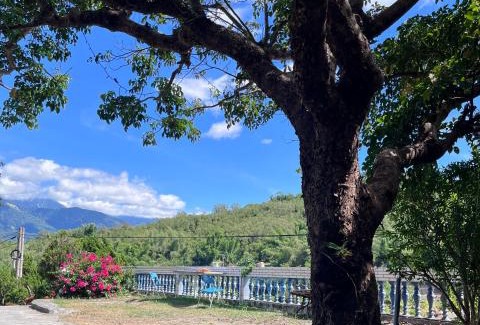 Chishang Casa | 十畝田山莊會館