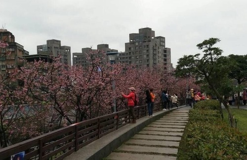 Xizhi District Apartamento | Nature 近郊 鬧中取靜 的 好 地方 (內 湖 雅房) Naturaleza al lado de la ciudad de Taipei