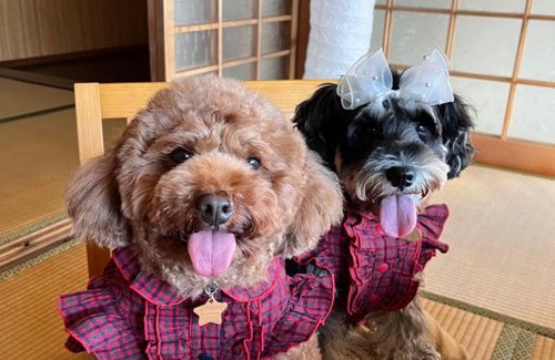 Yoshino Casa | 吉野長屋