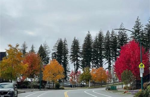 Burke Mountain Casa | 宽敞的私人套房&热水浴缸&近交通和自然小径